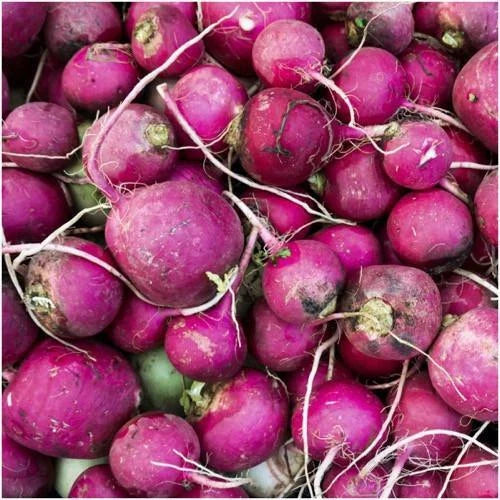 Purple Plum Radish Seeds 200 Ct - Heirloom NON-GMO Vegetable Garden Seeds - Raphanus sativus