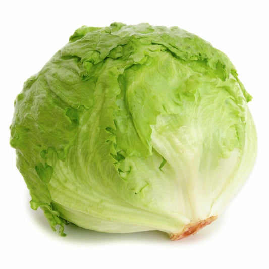 Iceberg Lettuce Seeds | Heirloom Non-GMO | Organic Vegetable Seeds | Lactuca sativa