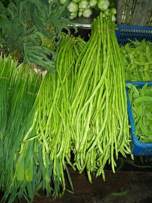 Yard Long Beans Seeds - Green Pole Type - 15 Seeds - Vigna unguiculata subsp. sesquipedalis - USA Made
