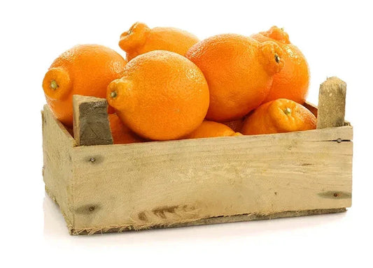 Tangelo Orange Seeds - 5+ Pack for Garden Planting - Citrus reticulata × Citrus paradisi