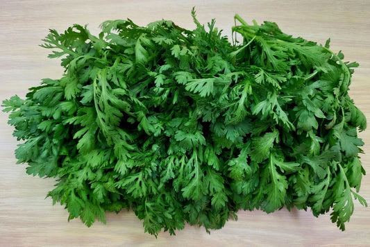 Shungiku Seeds 100g Asian Greens Choy Suy-Tongho Edible Chrysanthemum (Glebionis coronaria)