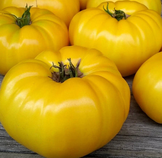Yellow Beefsteak Tomato Seeds 20+ Indeterminate Garden Vegetables Solanum lycopersicum
