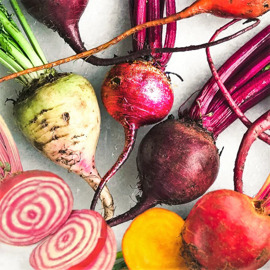 Rainbow Mix Beet Seeds - 5 Species Blend in Mixed Colors - Ideal for 2025 Planting - Beta vulgaris