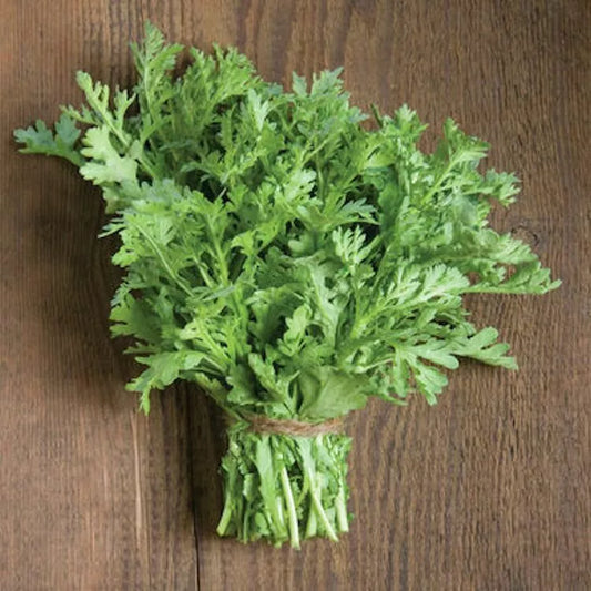 300 Shungiku Seeds - Edible Chrysanthemum Asian Greens, Choy Suy-Tongho, Perfect for Culinary Gardens, Easy to Grow