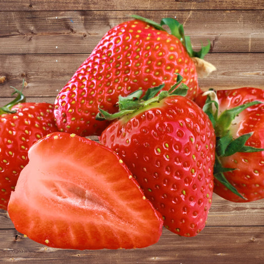 Seascape Strawberry Roots – Bare Root Plants | Ever-Bearing Strawberry (Fragaria × ananassa)