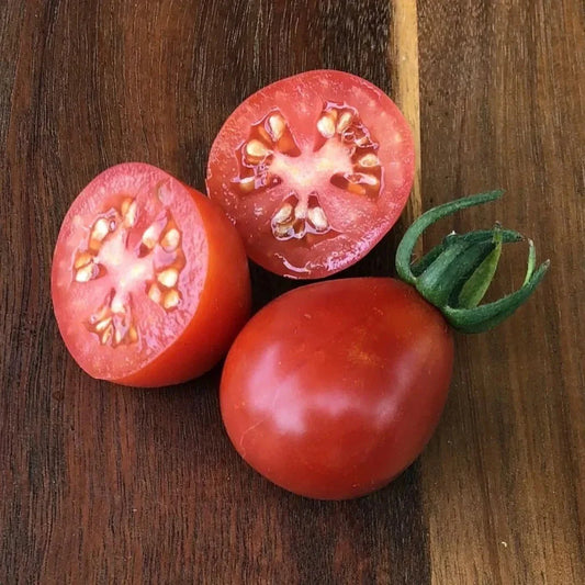 Napoli Tomato Seeds - 30+ Heirloom Organic Non-GMO Variety - Ideal for Home Gardening - Solanum lycopersicum