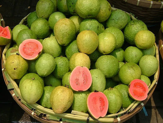 Pink Guava Seeds - 10 Pack - Psidium guajava - Tropical Fruit Seeds - Non-GMO - Free Shipping