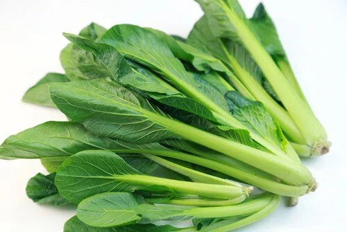 Tendergreen Mustard Seeds - 200+ Seeds - Brassica juncea - Spinach Mustard Komatsuna - USA Grown