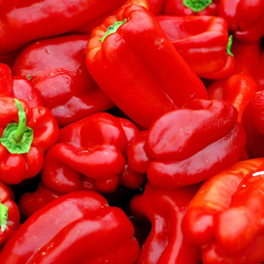 Big Red Sweet Pepper Seeds - 25+ Heirloom Capsicum Annuum - USA Grown, Vegetable Gardening, Non-GMO