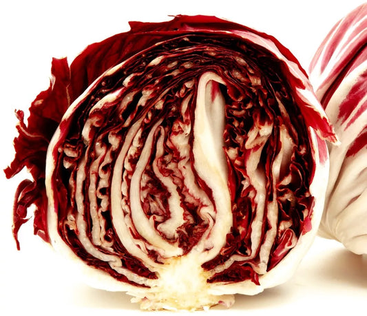 Radicchio Seeds | Heirloom Rouge de Verona | Fresh Garden Seeds | Cichorium intybus