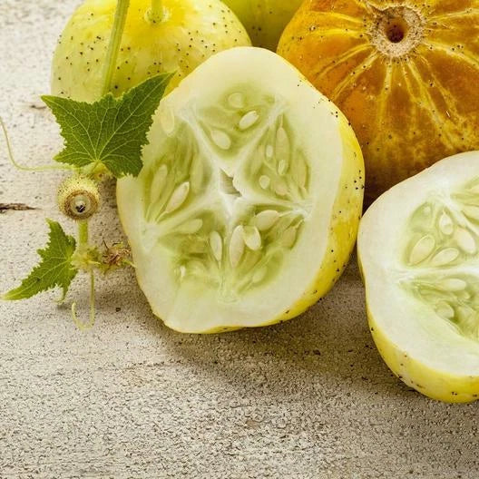 Lemon Cucumber Seeds - 40 Non-GMO Heirloom Seeds - Cucumis sativus - USA Seller