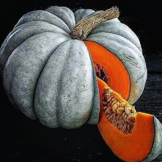 Jarrahdale Blue Pumpkin Seeds - 15 Pack - Queensland Cinderella Doll - Cucurbita maxima