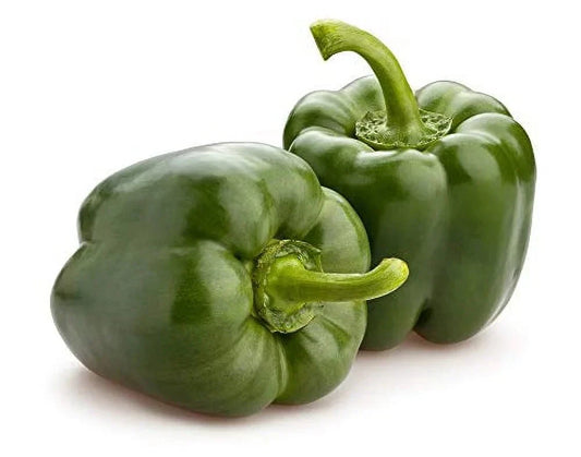 California Wonder Bell Pepper Seeds - 10+ Heirloom Non-GMO - Fresh 300 TMR - Capsicum annuum