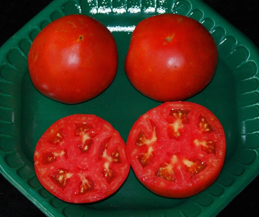 Celebrity Hybrid Tomato Seeds - Bulk 300 Pack - Heavy Producer Compact Plant - Solanum lycopersicum