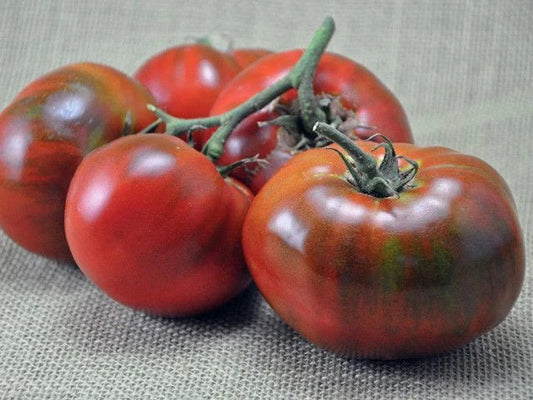 Paul Robeson Tomato Seeds, Rare Heirloom Beefsteak, NON-GMO, Available in Multiple Sizes, (Solanum lycopersicum)