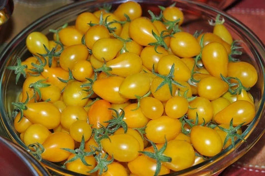 Yellow Pear Tomato Seeds - 10+ Heirloom NON-GMO Fresh Seeds - Solanum lycopersicum