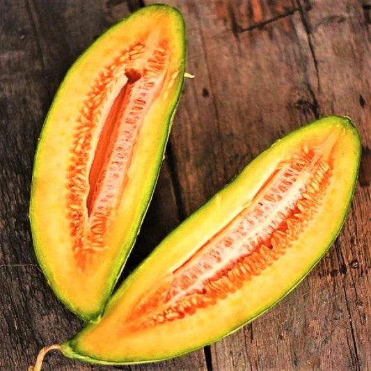 Cantaloupe Seeds - 50+ Count - Banana Variety - Cucumis Melo Heirloom for 2025 Planting