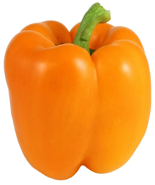 Orange Bell Pepper Seeds - 50+ Non-GMO Heirloom Seeds for Fresh Garden | Capsicum annuum