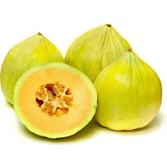 Crenshaw Melon Seeds 1/4 LB Sweet Cantaloupe (Cucumis melo) - Heirloom Variety for Home Gardening