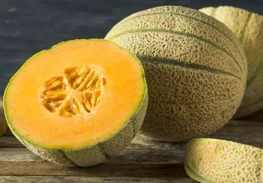 50+ Organic Honey Rock Cantaloupe Seeds - Heirloom Melon - Non-GMO - Fresh