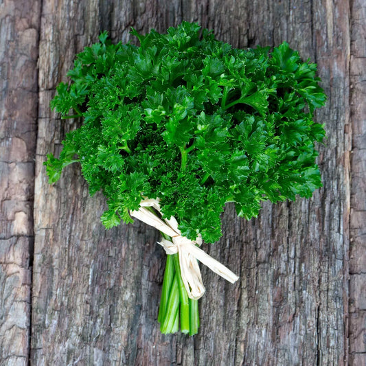 Curled Parsley Seeds 4000 Count NON-GMO Heirloom Petroselinum crispum