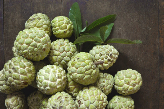 Custard Sugar Apple Tree Seeds - 10 Non-GMO Tropical Fruit Seeds, Sweet Annona Squamosa Variety
