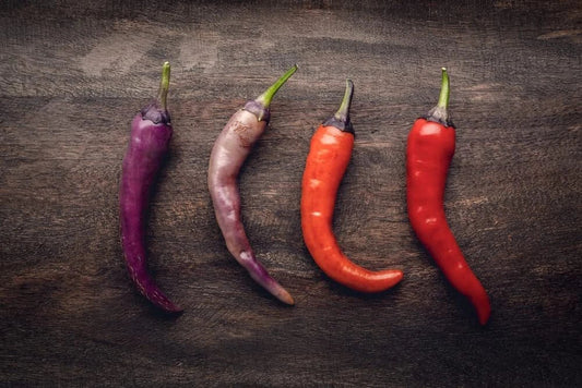 Buena Mulata Pepper Seeds - 50+ Seeds - Versatile Hot Pepper for Eating and Cooking - Capsicum annuum