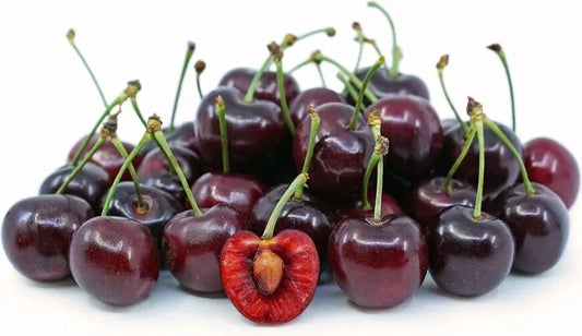 Dark Red Bing Cherry Seeds - 15 Seeds, Prunus Avium, 2024 Harvest - USA Grown