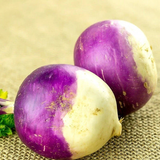 Rutabaga Seeds - 200 Heirloom American Purple Top - Non-GMO, Free Shipping - Brassica napus