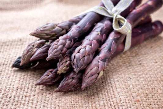 Purple Passion Asparagus Bare Root Plants - 2yr Crowns - Asparagus setaceus - No Ship to California