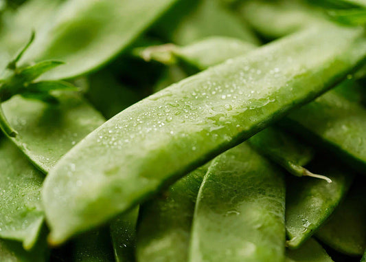Mammoth Melting Sugar Snow Pea Seeds - NON-GMO Heirloom - Garden Vegetable Seeds - Pisum sativum