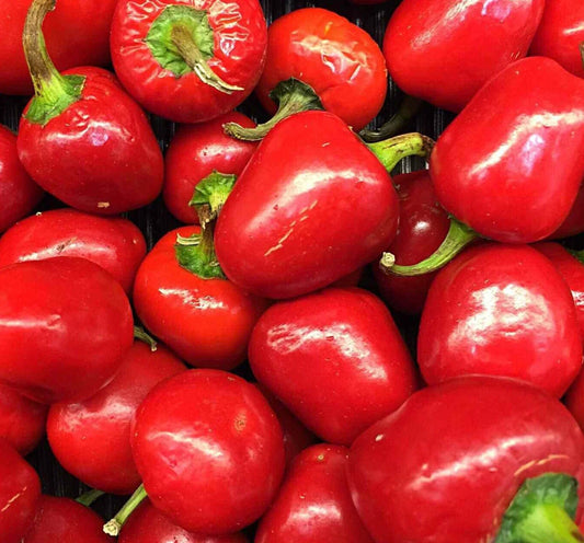 Pimento Pepper Seeds 50+ Sweet Variety for Garden Planting, Ideal for Pickling, Capsicum annuum