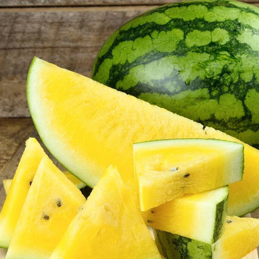 Yellow Gem Watermelon Seeds - 10+ Non-GMO Seeds - True Yellow Variety - Sweet Flavor - Citrullus lanatus