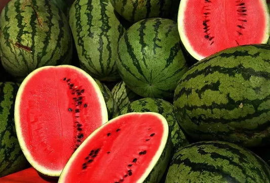 Kleckley's Sweet Watermelon Seeds - 100+ Large Heirloom Seeds - Super Sweet Variety - Fresh Quality