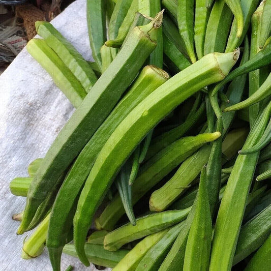 Perkins Long Pod Okra Seeds - 100+ Heirloom Non-GMO Seeds - Fresh Quality for Home Gardening (Abelmoschus esculentus)