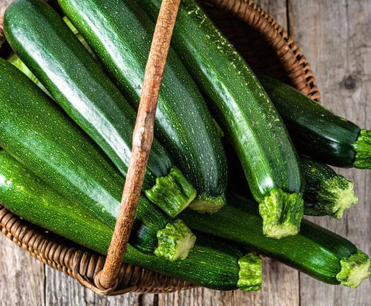 Dark Green Zucchini Squash Seeds - 20+ Italian Courgette Seeds (Zucchino) - High-Quality Vegetable Seeds - USA