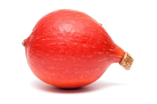 Red Kuri Squash Seeds - 10 Open-Pollinated Seeds - Japanese Kabocha Pumpkin - Easy to Grow