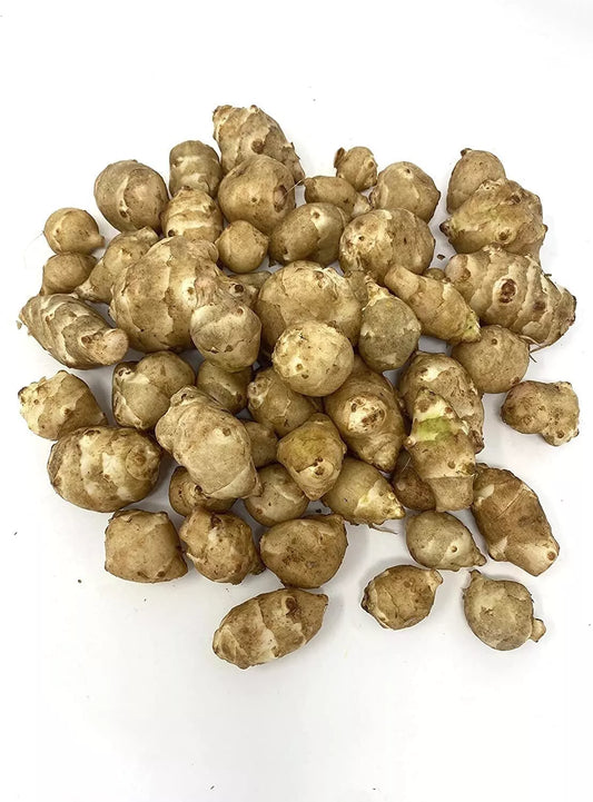 Organic White Sunchoke Tubers for Planting - Helianthus tuberosus - Non-GMO Jerusalem Artichoke