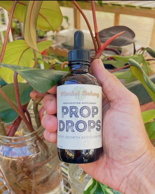 Propagation Plant Drops | Promote Healthy Root Growth | Plant Propagation Solution | Indoor Gardening Essentials