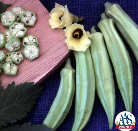 Dwarf Okra Seeds - BLONDY AAS Winner - Edible Flowers & Fruit - 60 Seeds - Abelmoschus esculentus