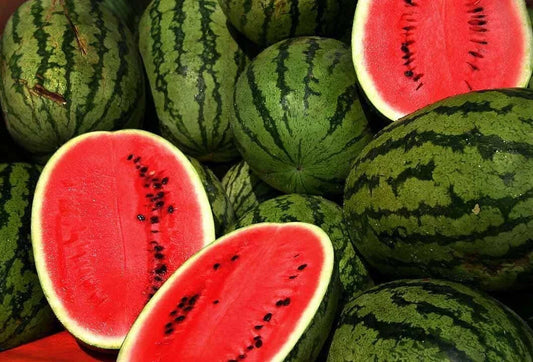 Kleckley's Sweet Watermelon Seeds - 100+ Heirloom Seeds - Large & Super Sweet - Citrullus lanatus