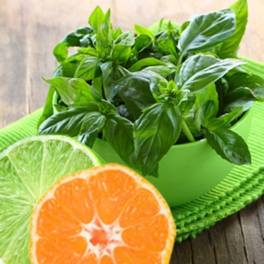 Lime Basil Seeds - 100 Seeds - Citrus Flair - Zesty Aroma - Gourmet Cooking - Ocimum basilicum