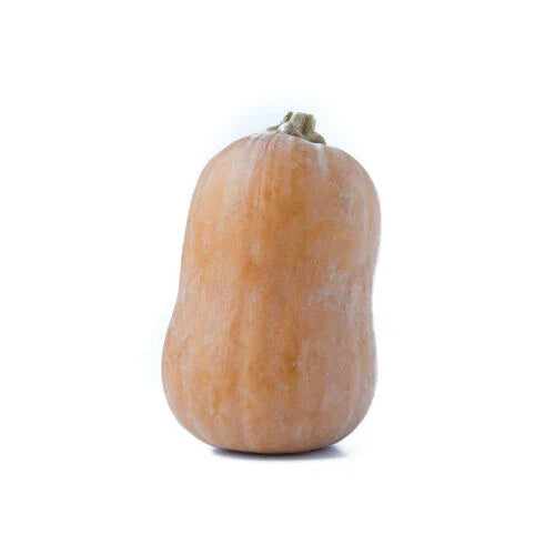Honeynut Squash Seeds - 25+ Pack for Garden Planting - Cucurbita maxima
