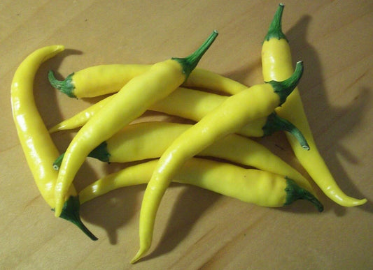 Yellow Cayenne Hot Pepper Seeds - 50+ Seeds - Rare, Non-GMO, Spicy Capsicum annuum