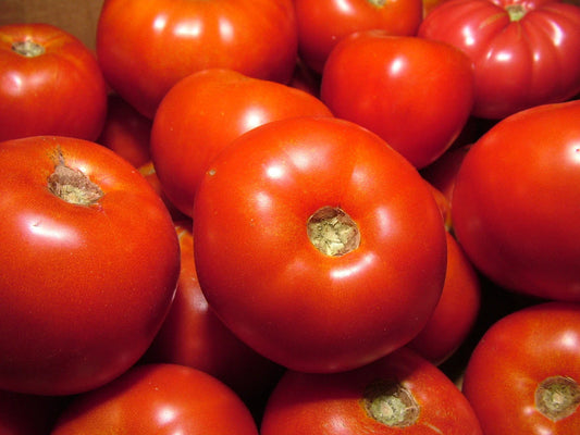 Rutgers Tomato Seeds - 15 Pack - Solid Variety - Great Slicer - Solanum lycopersicum