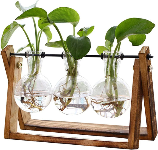 Terrarium Planter with Wooden Stand, Clear Air Planter Bulb, Green XXXFLOWER Plant - Ideal for Home Decor and Indoor Gardening