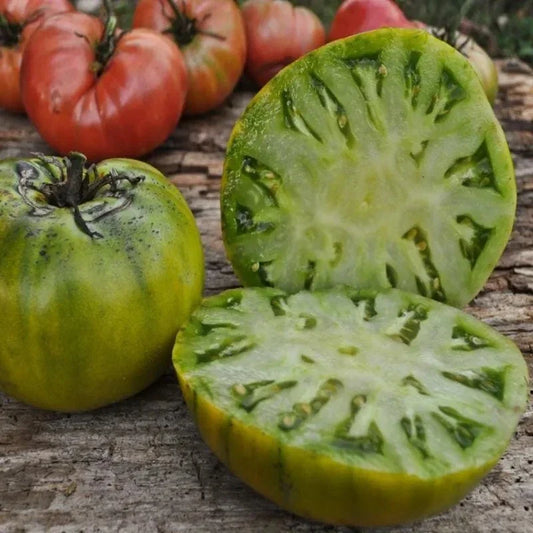 Cherokee Green Tomato Seeds - 10+ Heirloom Non-GMO Seeds - Rare Variety - Perfect for Home Gardening