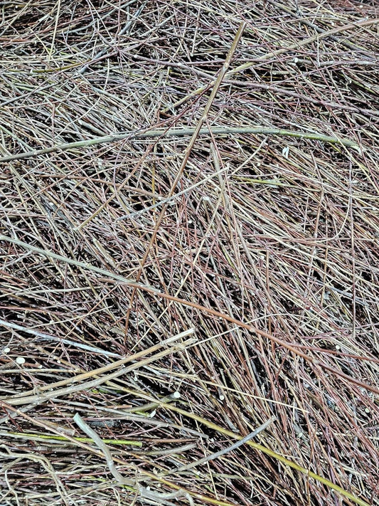 Natural Willow Tree Straw | 100% Organic Mulch & Animal Bedding | Eco-Friendly Plant Material