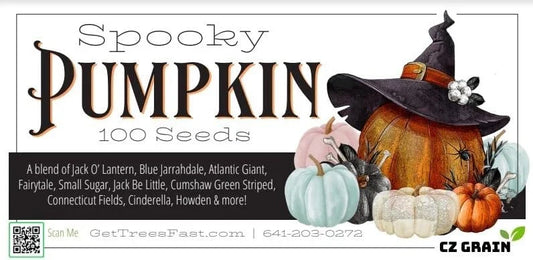 Spooky Blend Pumpkin Seeds - 100 Mixed Seeds for Planting - Halloween Variety, Cucurbita pepo