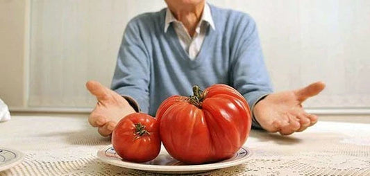 Behemoth Giant Tomato 200 Seeds - Heavy Yielding, Largest Fruit Variety - Perfect for Home Gardens - (Solanum lycopersicum)